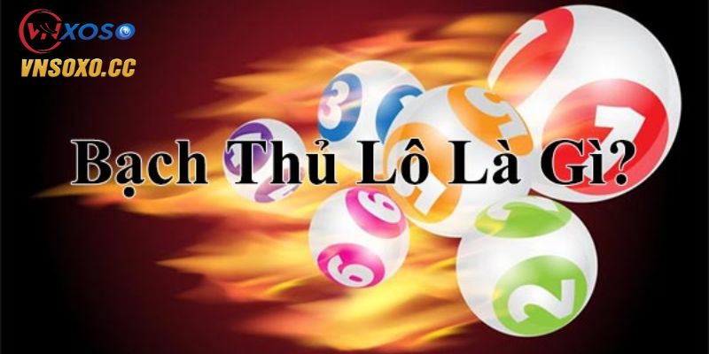 Bạch thủ lô
